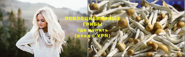 стафф Ступино