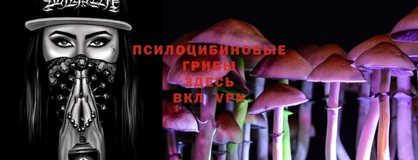 молекула духа Богородск