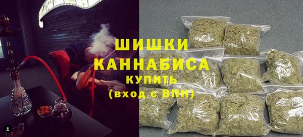 молекула духа Богородск