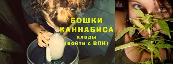 молекула духа Богородск