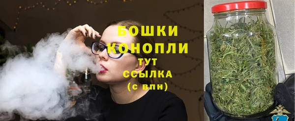Альфа ПВП Белокуриха