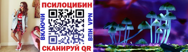 МЕГА сайт  Дагестанские Огни  Псилоцибиновые грибы Cubensis 