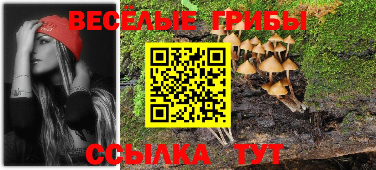 Галлюциногенные грибы MAGIC MUSHROOMS Дагестанские Огни